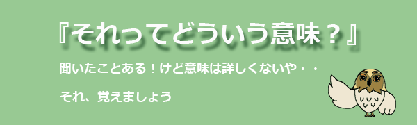 それってどういう意味？