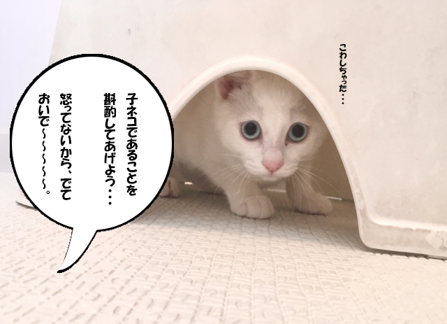 斟酌の覚え方イメージ
