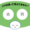 「白羽」覚えていますか？