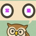 「紫蘭」覚えていますか?