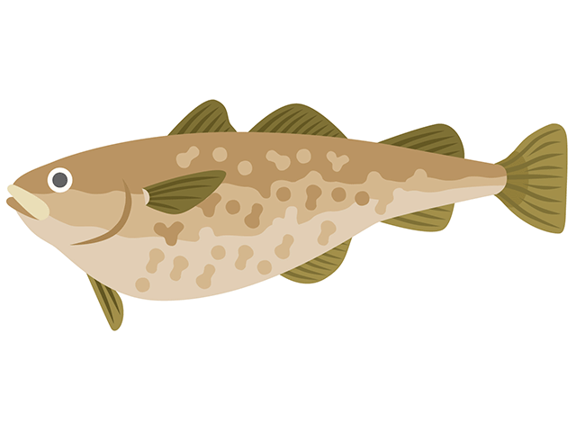 矢鱈の覚え方イメージ