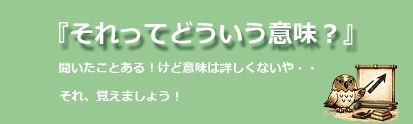 それってどういう意味?